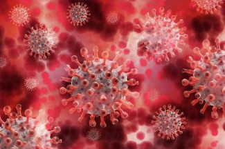 За сутки в Пензенской области подтверждено 85 случаев коронавируса