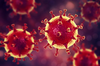 В Пензенской области зарегистрировано 90 новых случаев коронавируса