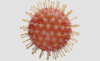 Пензенская область поставила новый антирекорд по коронавирусу