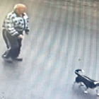 В Пензе остановили поиски пенсионера с собакой