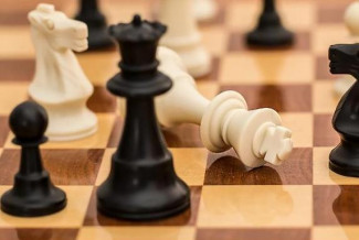 В Пензе определили лучших шахматистов города
