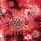 Статистика коронавируса в Пензе: 20 июня стало известно о десятках зараженных