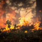 В двух районах Пензенской области прогнозируется высокая пожарная опасность