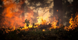 В двух районах Пензенской области прогнозируется высокая пожарная опасность