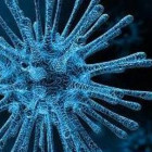 В Пензенской области выявлено еще 70 случаев заражения коронавирусом