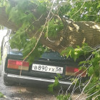 В Пензенской области легковушку раздавило деревом