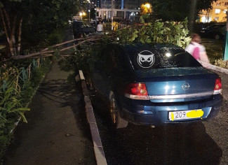 В Пензе падающие от урагана деревья осложнили жизнь автомобилистам