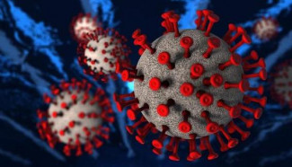В Пензенской области снова выросло число заболевших коронавирусом