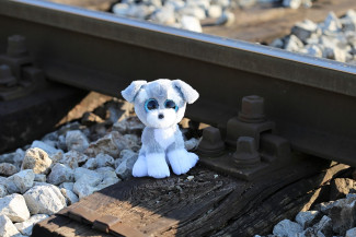 В Пензенской области чуть не попала под поезд двухлетняя девочка