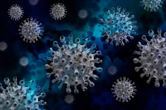 Число заболевших коронавирусом в Пензенской области на сегодняшний день