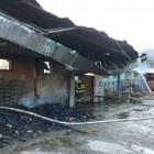 В Пензенской области с крупным пожаром в пекарне боролись 40 человек