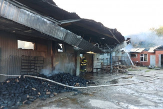 В Пензенской области с крупным пожаром в пекарне боролись 40 человек