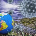 COVID-19 в Пензенской области: в каких районах обнаружен вирус?