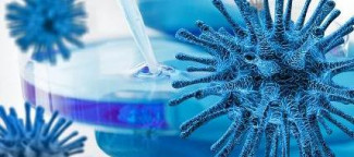 В Пензенской области провели более 208 тысяч тестов на коронавирус