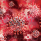  Число зараженных коронавирусом на сегодняшний день в Пензенской области