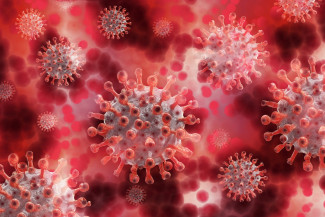  Число зараженных коронавирусом на сегодняшний день в Пензенской области