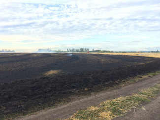 В Кузнецком районе из-за трактора загорелось поле