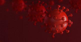 В Пензенской области выявили 53 новых случая коронавируса
