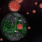 В Пензе и 12 районах области выявлены новые случаи коронавируса