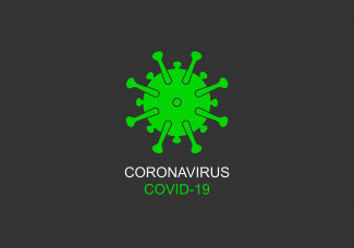 В Пензенской области выявили 55 новых случаев коронавируса