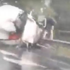 Появилось видео с места жуткого ДТП с грузовиками в Пензенской области