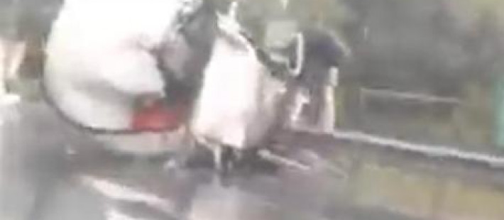 Появилось видео с места жуткого ДТП с грузовиками в Пензенской области Появилось видео с места жуткого ДТП с грузовиками в Пензенской области