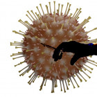 В Пензенской области провели более 222 тысяч тестов на коронавирус