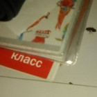 В Кузнецке по книжкам и кружкам девочки побежали тараканы