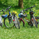 В Пензе состоится благотворительный заезд на велосипедах