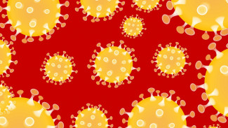В Пензенской области еще 93 человека стали носителями коронавируса