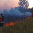 В Шемышейском районе Пензенской области сгорело 17 гектаров травы