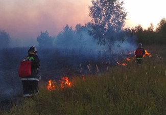 В Шемышейском районе Пензенской области сгорело 17 гектаров травы