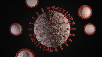 Новые случаи коронавируса выявлены в Пензе, Заречном и 7 районах