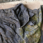 В Пензенской области найдены скелетированные останки человека