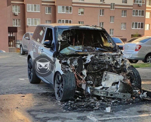 В Пензе огонь изуродовал две иномарки. ФОТО