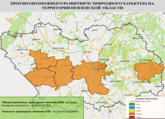 Высокая пожароопасность прогнозируется в Пензе и 5 районах области