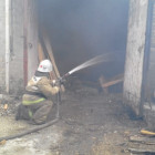 Появились фото с места крупного пожара на пилораме под Пензой