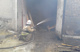 Появились фото с места крупного пожара на пилораме под Пензой