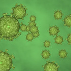 В Пензенской области подтверждено 160 случаев коронавируса за сутки
