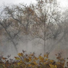 17 октября в Пензенской области ожидается похолодание