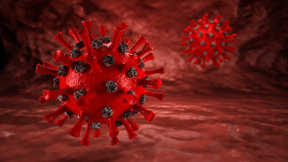 В Пензенской области более 2 тысяч человек больны коронавирусом