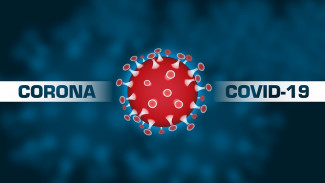 За сутки в Пензенской области подтверждено 164 случая коронавируса