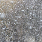 Пятница встретит пензенцев мокрым снегом и сильным ветром