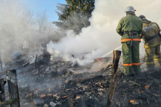 В Пензенской области при пожаре в дачном доме погиб мужчина