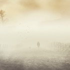 4 ноября Пензенскую область накроет туман