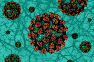 В Пензенской области подтверждено 167 новых случаев коронавируса