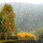 Пензенская область: прогноз погоды на 22 ноября