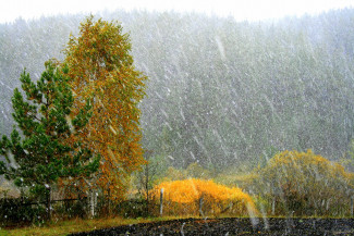 Пензенская область: прогноз погоды на 22 ноября