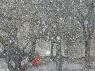 Завтра в Пензенской области ожидаются снег, гололед и сильный ветер