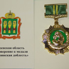 Медали «Материнская доблесть» получат 94 жительницы Пензенской области